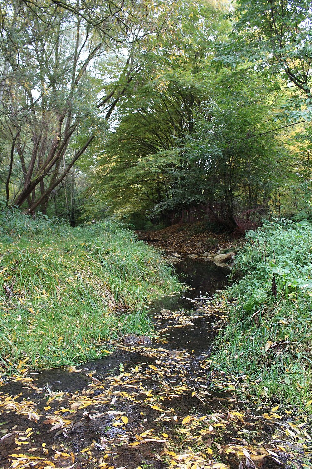 Goldbach am Metthingweiher