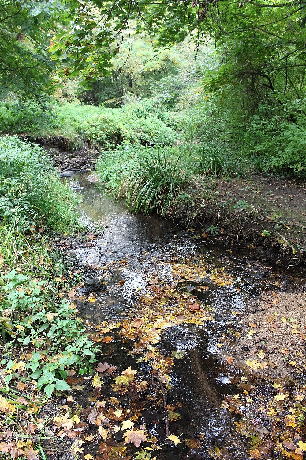 Goldbach am Metthingweiher