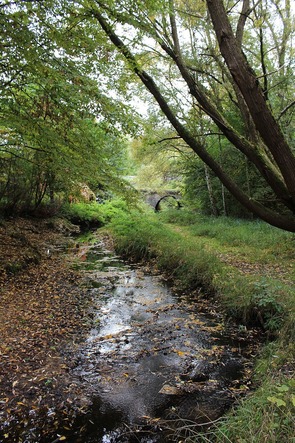 Goldbach am Metthingweiher