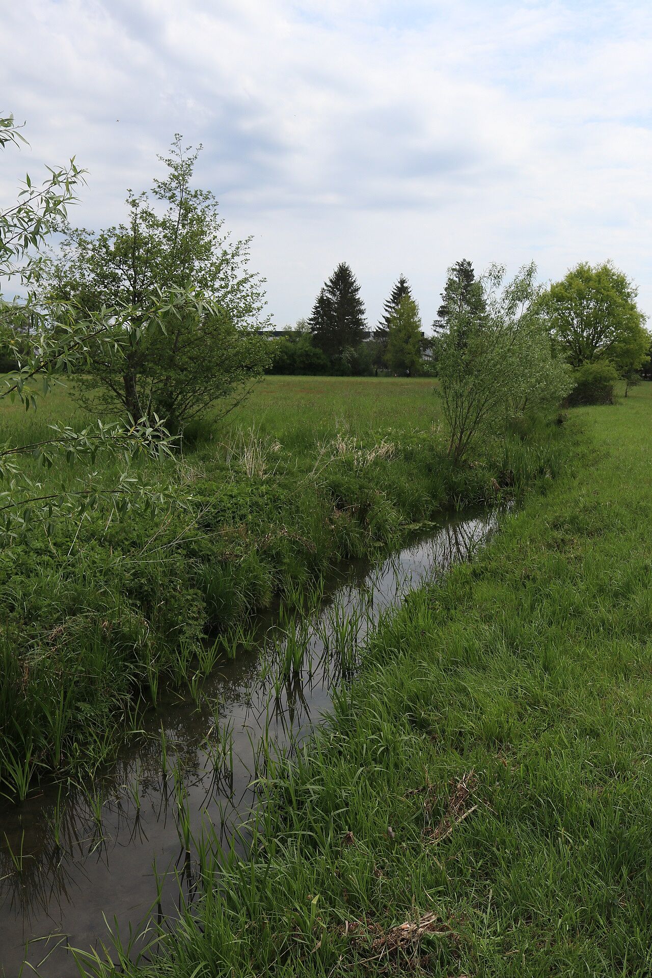 Bucher Landgraben