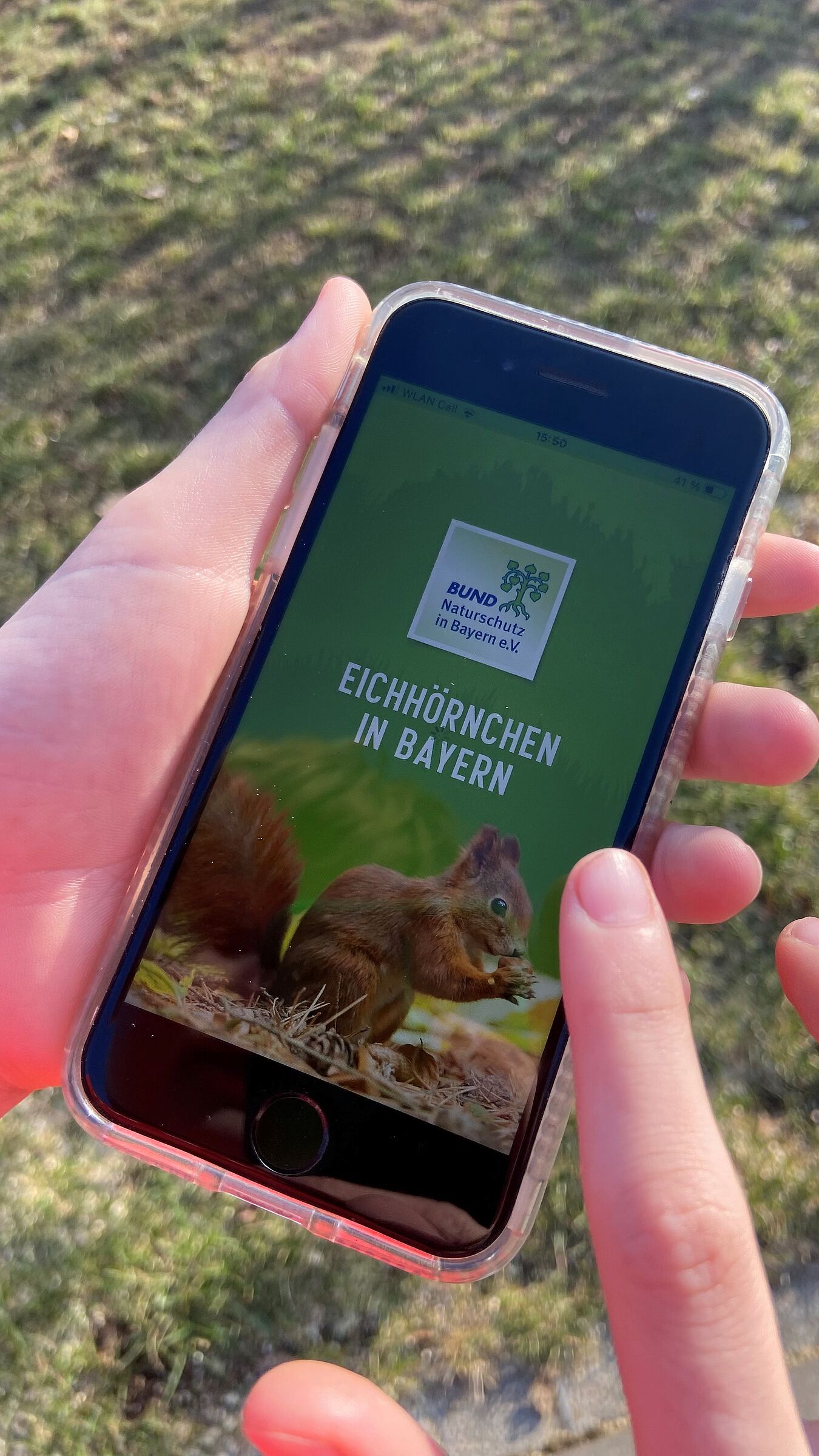 Eichhörnchen-App