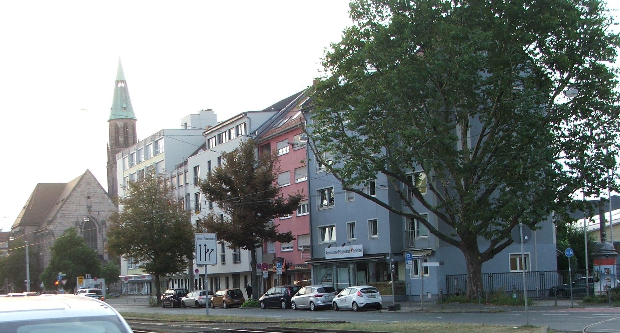 Bäume an der Peterskirche