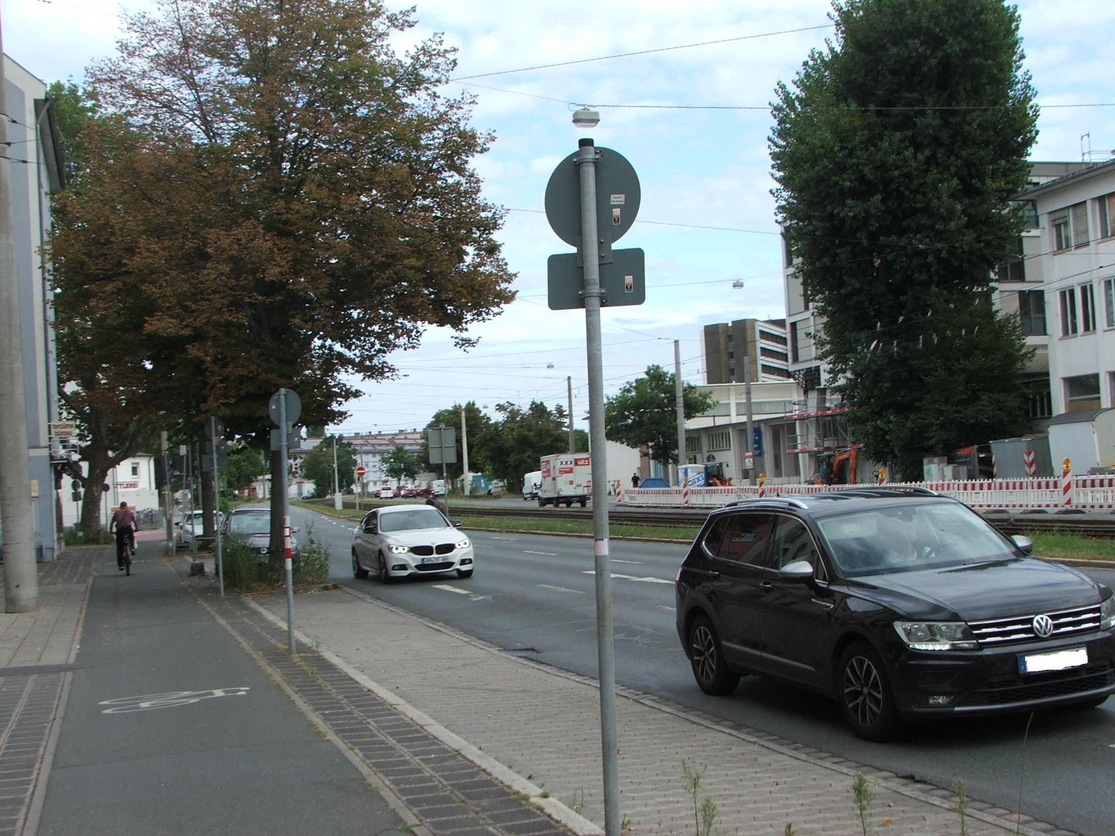 kümmernde Linden und Platanen