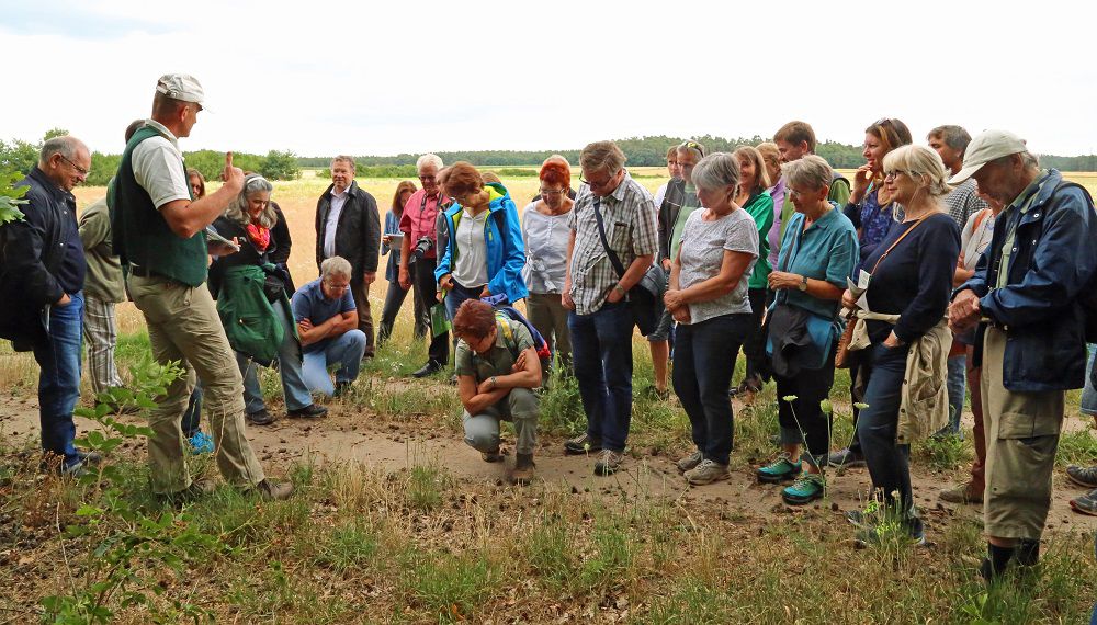 Diplom-Biologe Wolfgang Dötsch zeigt den Besuchern Wildbienen