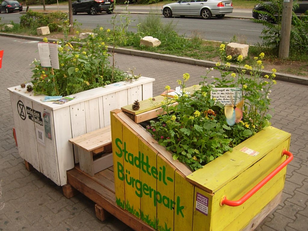 Erstbepflanzung