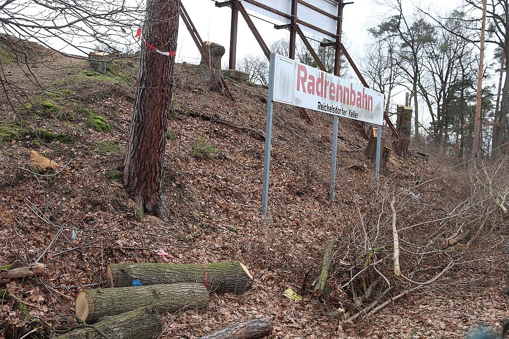 Rodungen an der Radrennbahn