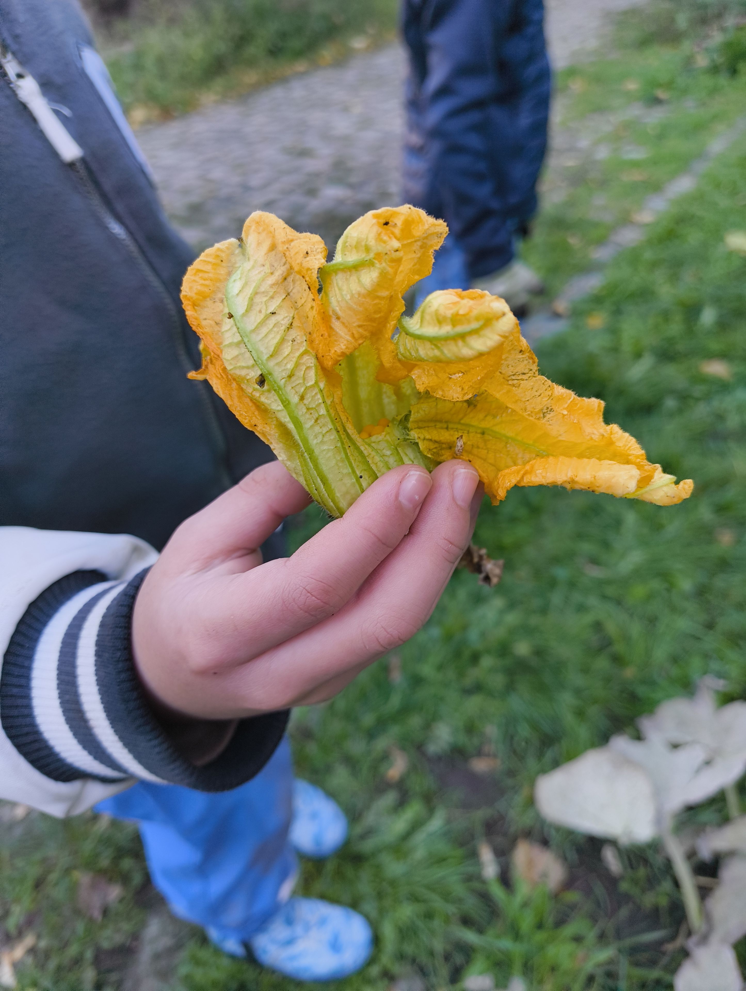 (Foto: Barbara Philipp)