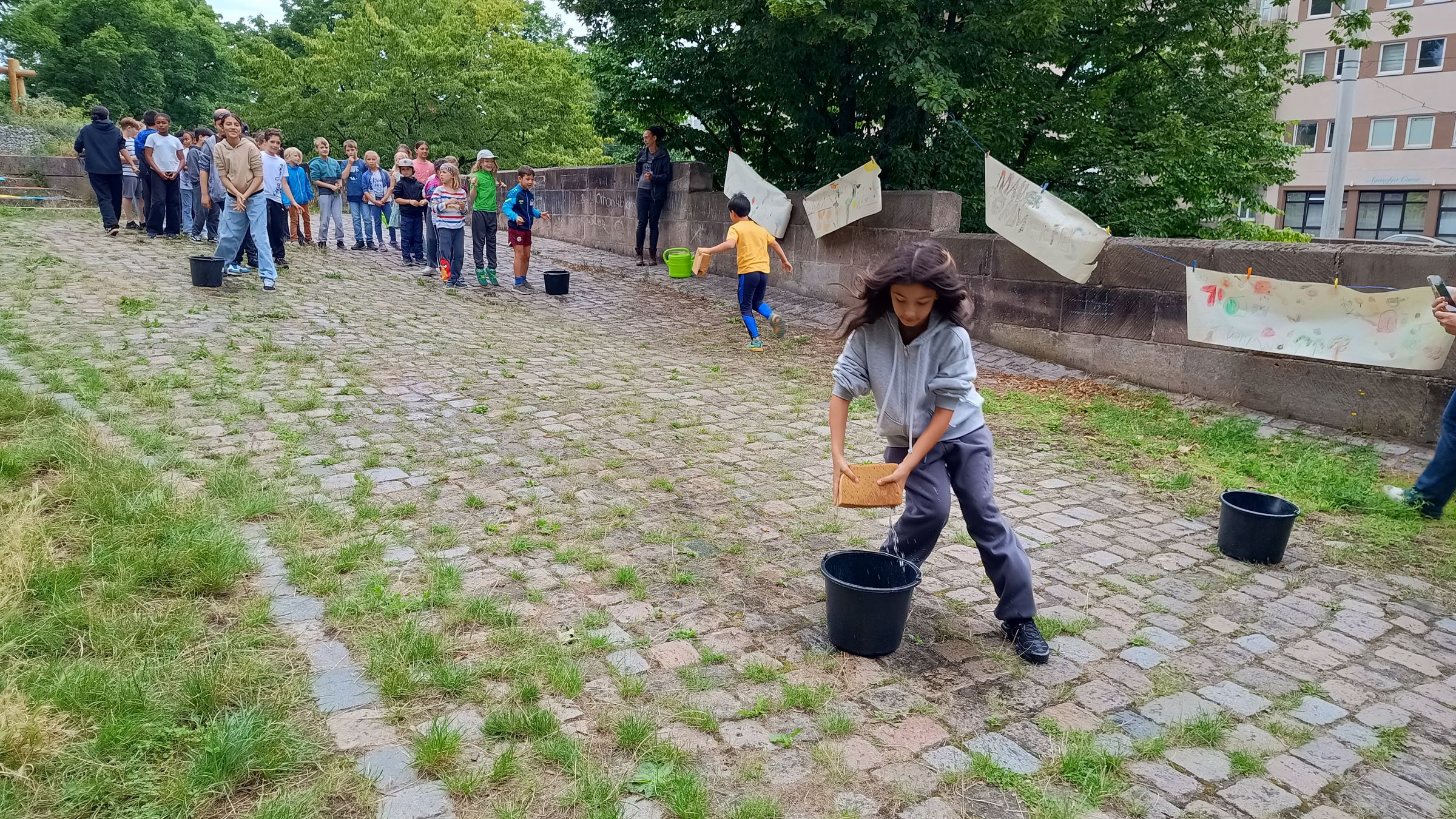 Wasserläufer