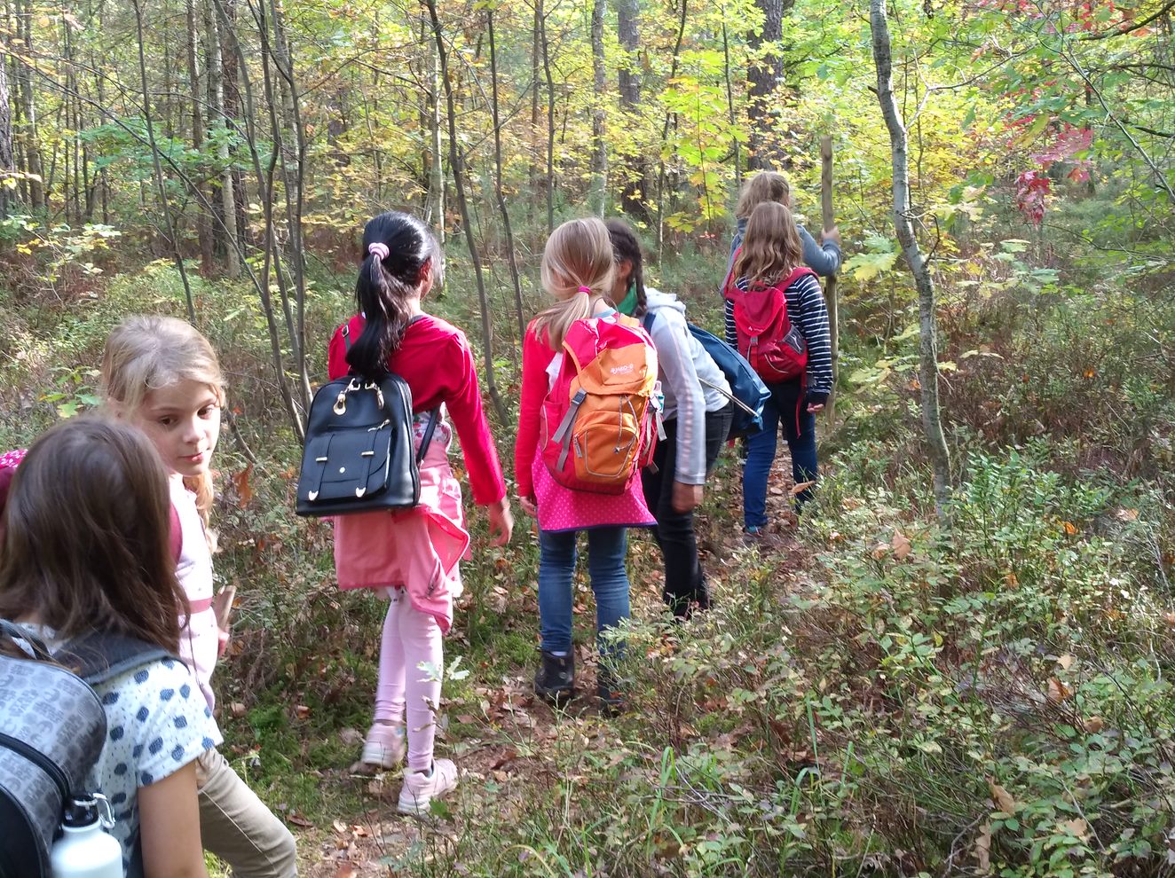 Kindergruppe Gostenhof: Auf in den Wald!