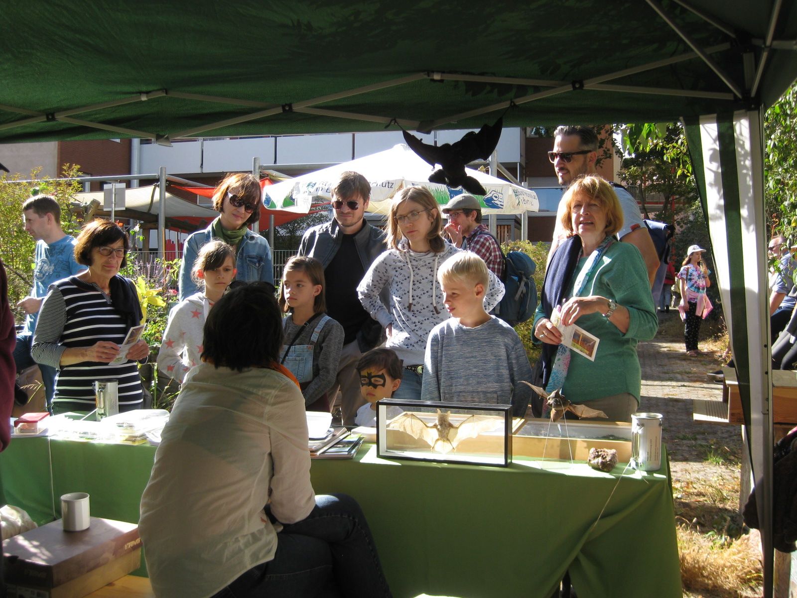 Fledermaus-Infostand