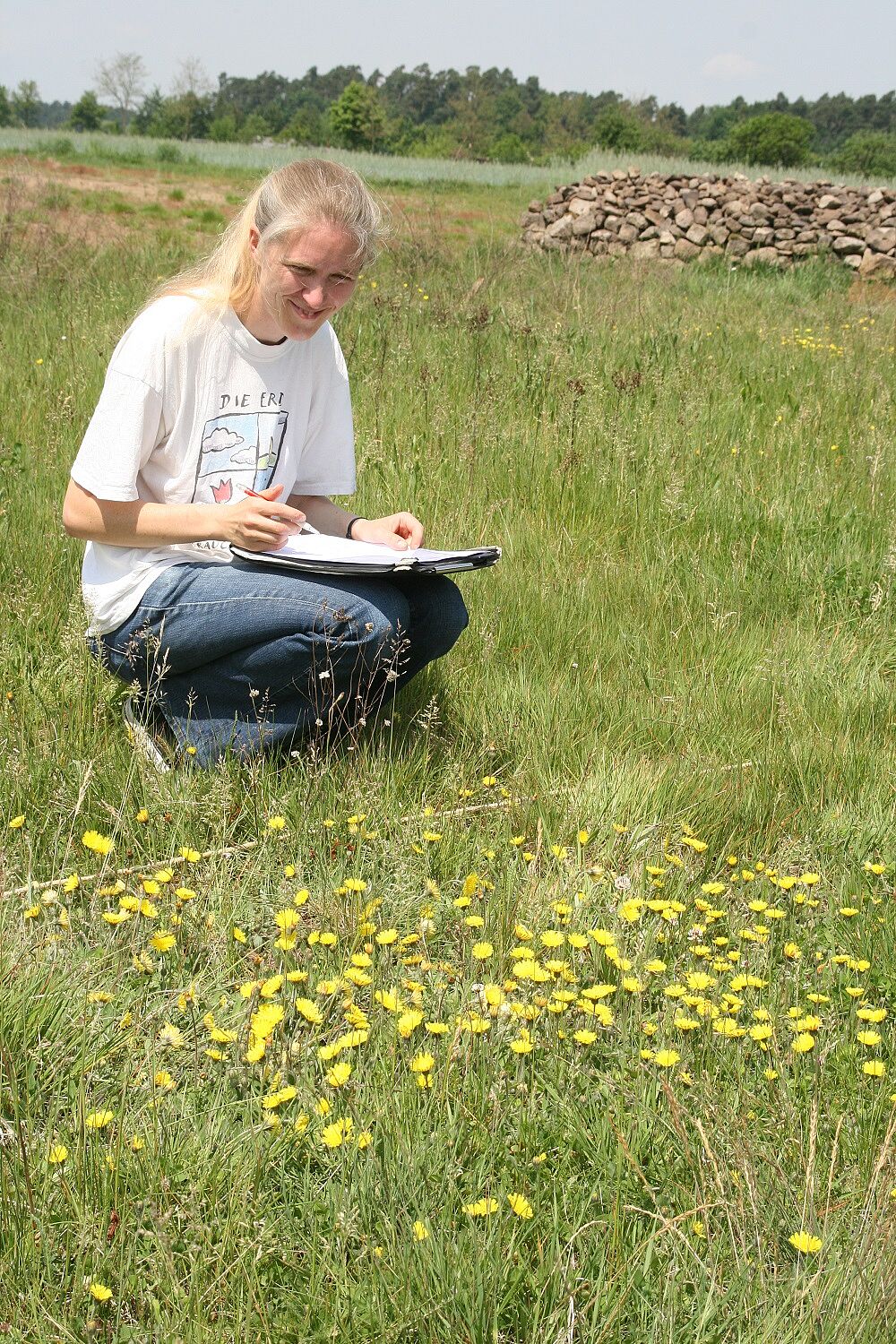 Dauerbeobachtungsfläche