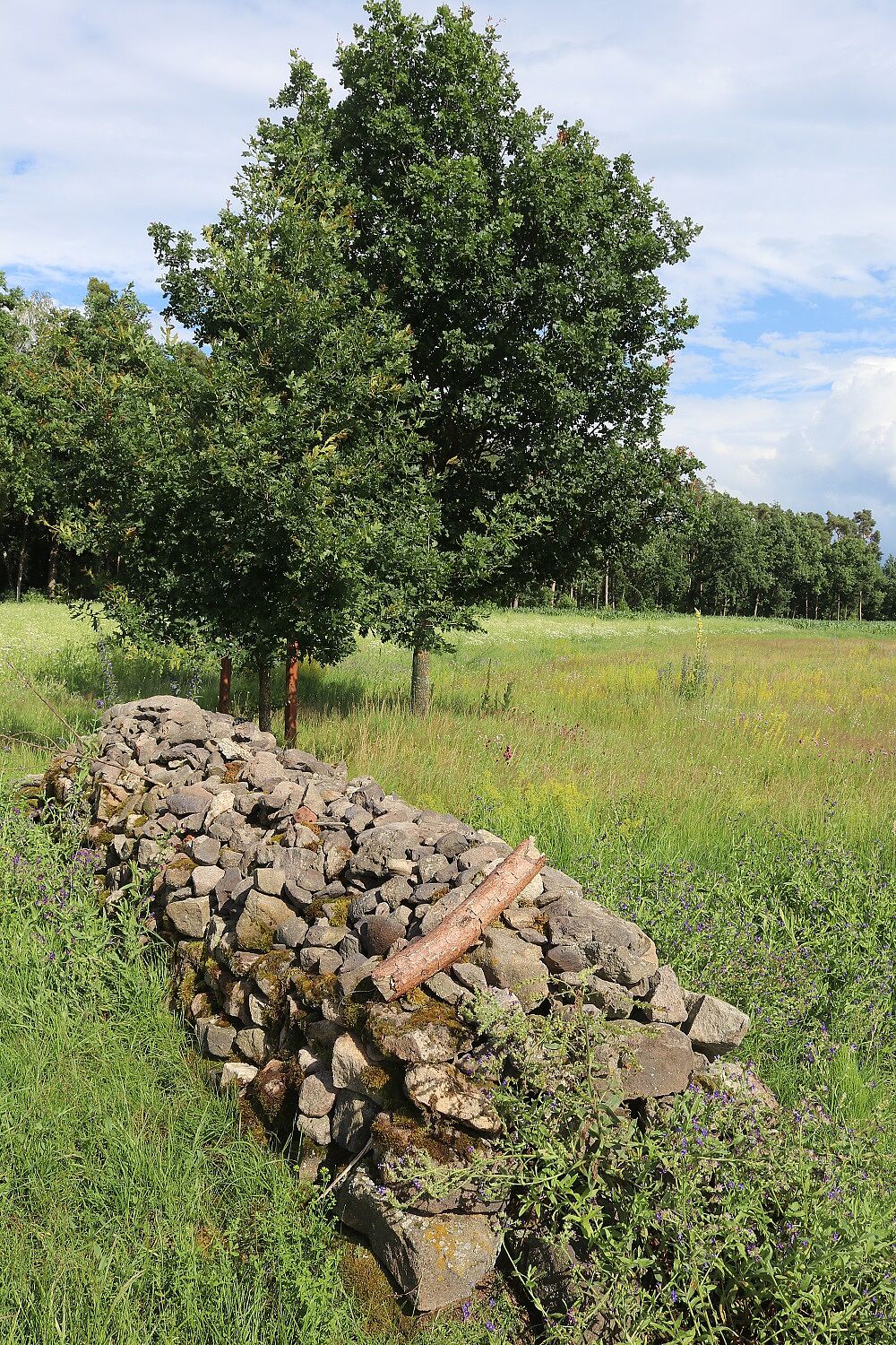 Natursteinmauer