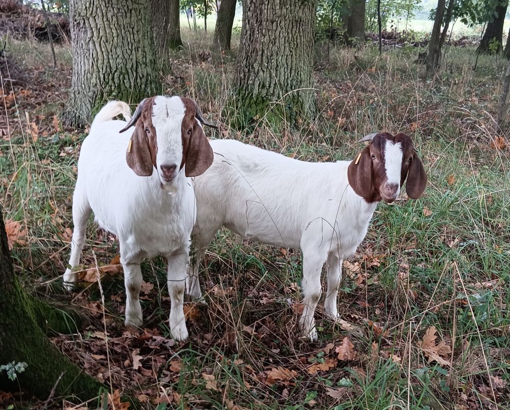 Foto: Wolfgang Dötsch