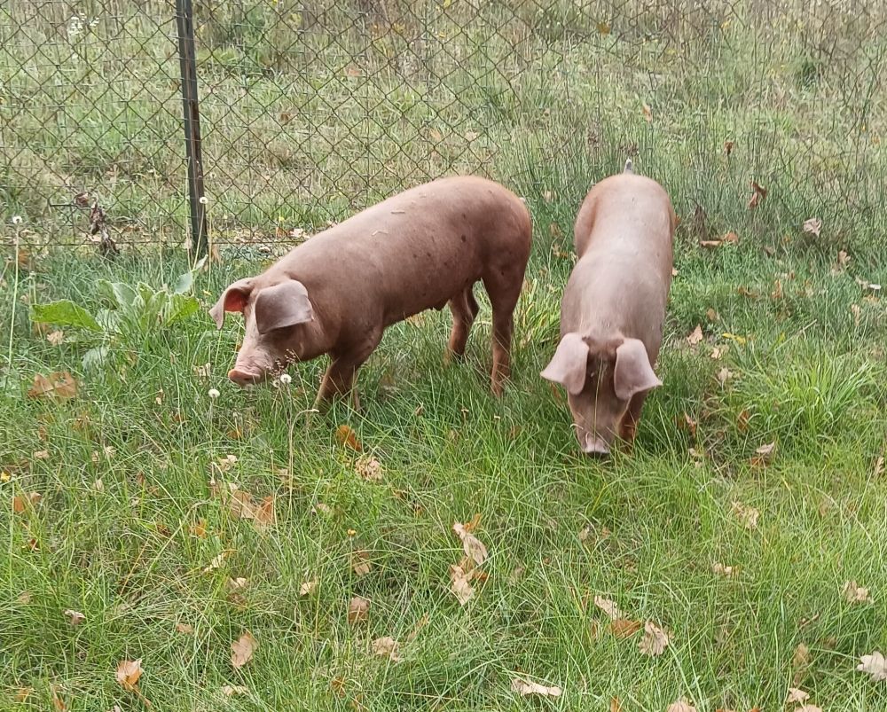 Foto: Wolfgang Dötsch