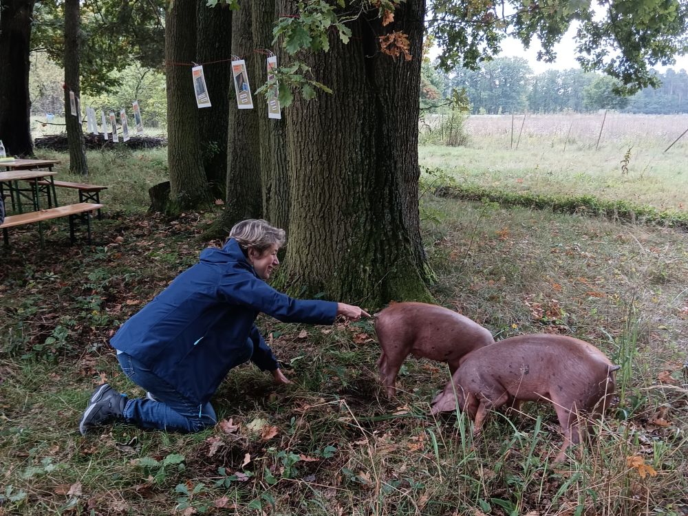 Foto: Wolfgang Dötsch