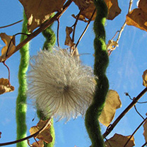 Naturmaterialien Naturmaterialien