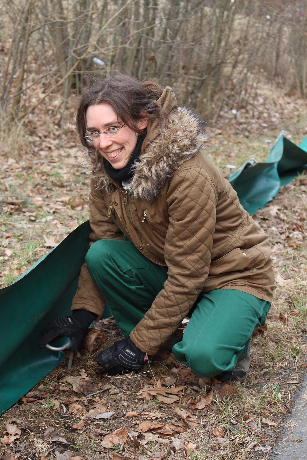 Aufbau des Krötenzauns am Dutzendteich