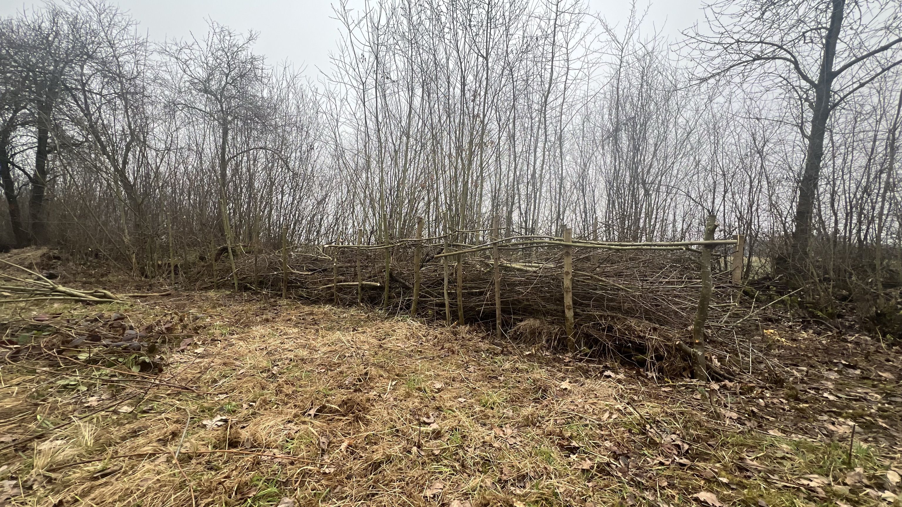 Totholzhecke Totholzhecke