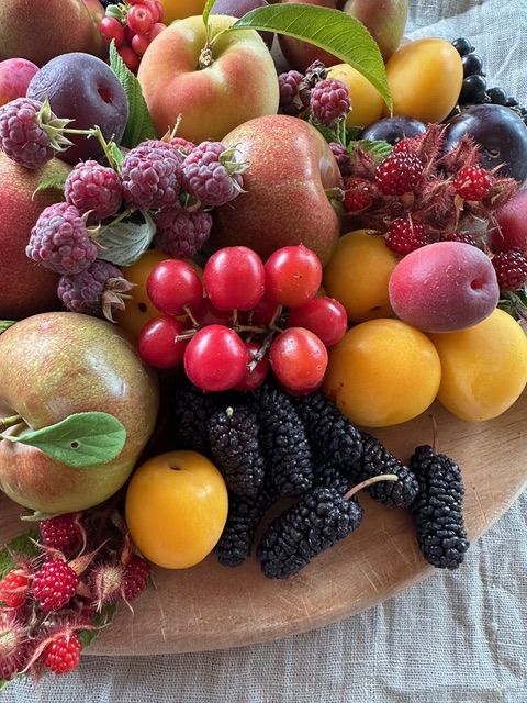 Obstteller