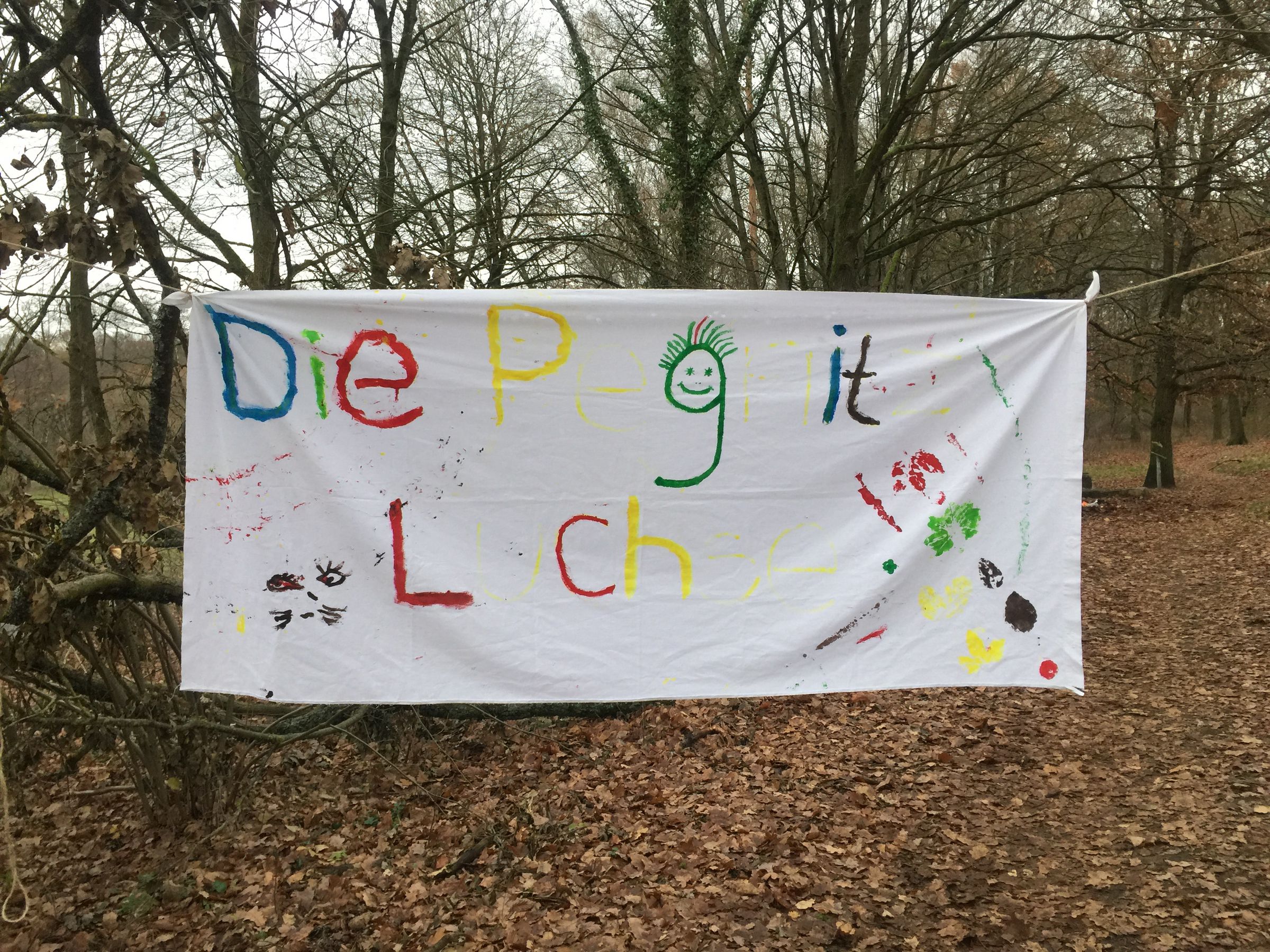 Banner Kindergruppe Pegnitzluchse