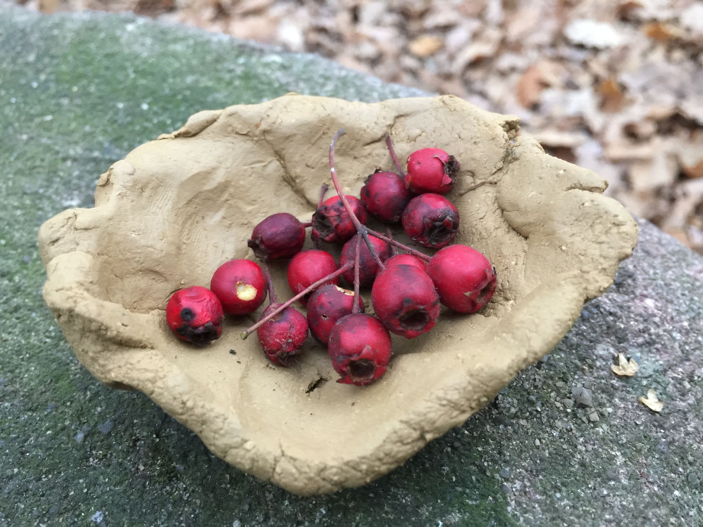 Kindergruppe Pegnitzluchse Tonschale