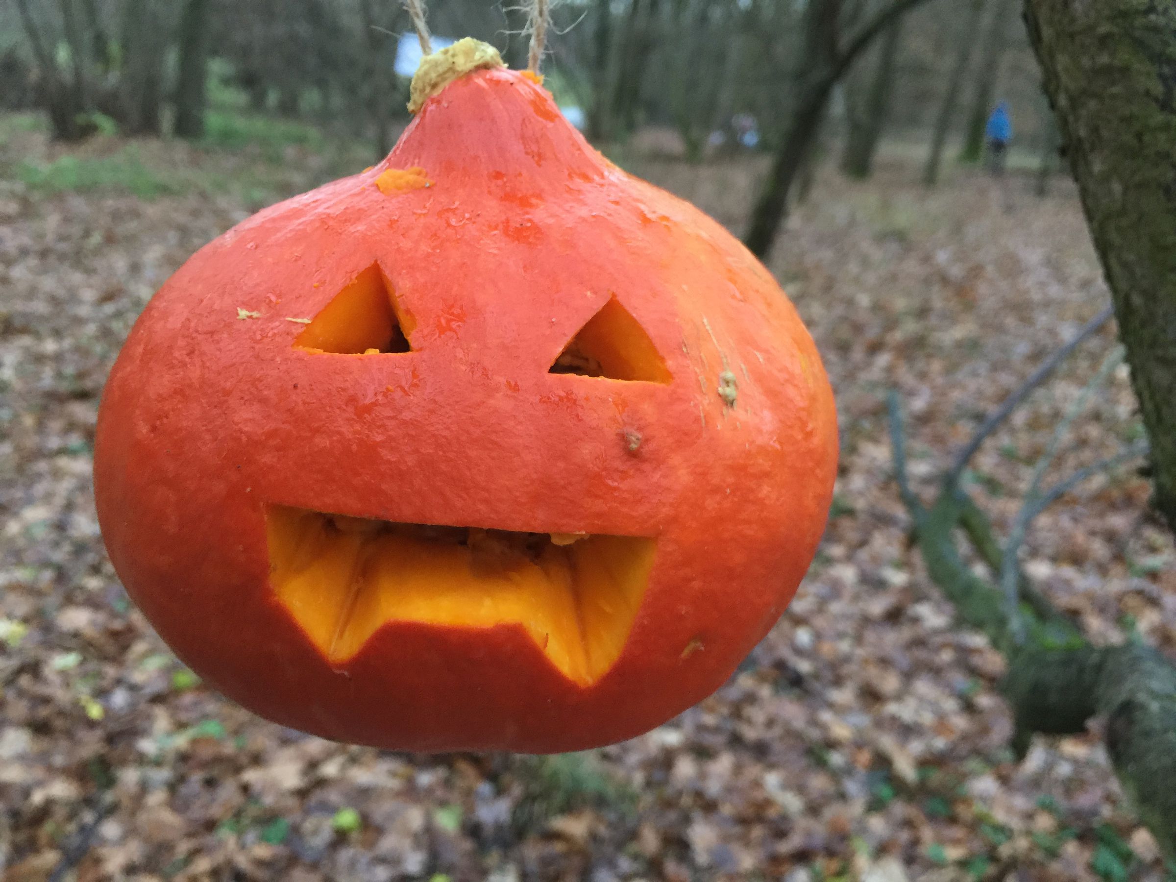 Kindergruppe Pegnitzluchse Waldgeisterbahn